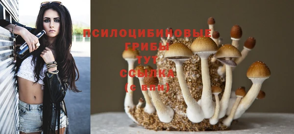 твердый Волоколамск