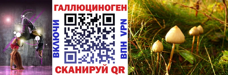 наркошоп  Монино  Псилоцибиновые грибы Cubensis 